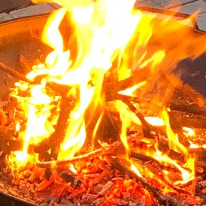 Profilbild von Sergio Marques