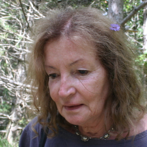 Profilbild von Sibylle Kater