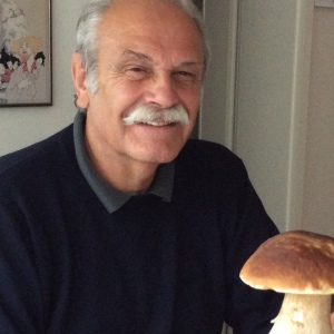 Profilbild von Siegfried Töpfer