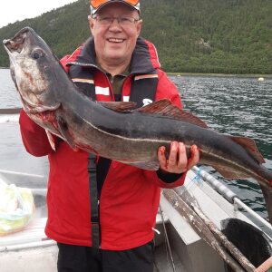 Profilbild von Sieghardt Rydzewski