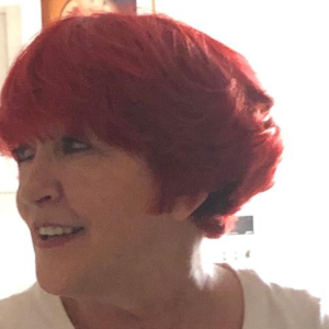 Profilbild von Siglinde Stiewert