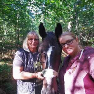 Profilbild von Silke Bork