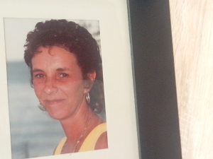 Profilbild von Silke Hollert