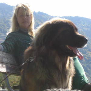 Profilbild von Silke Stadthaus