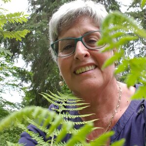 Profilbild von Silvia Frieser