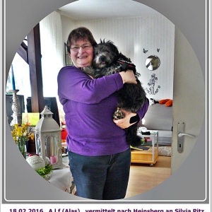 Profilbild von Silvia Pitz