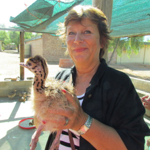 Profilbild von Silvia Salm