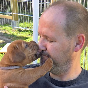 Profilbild von Silvio Schallon