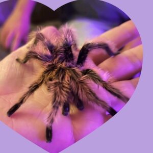 Profilbild von Simone Hilberath