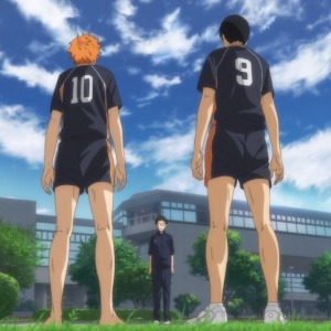 Profilbild von Sina Lohn