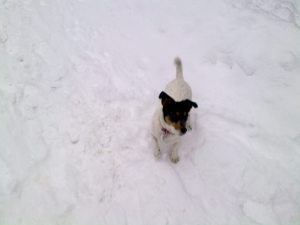Profilbild von Sissy Krüger