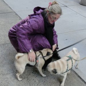 Profilbild von Sonja Blättchen