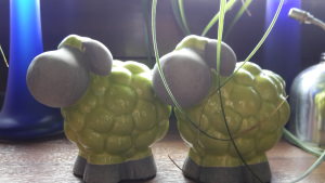 Profilbild von Sonja Henz