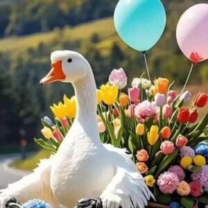 Profilbild von Sonja Lange