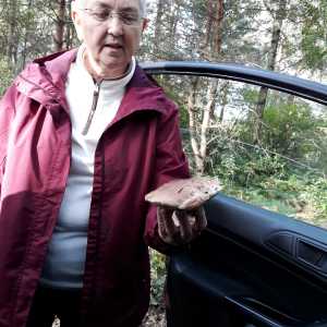Profilbild von Sonja Lentzsch