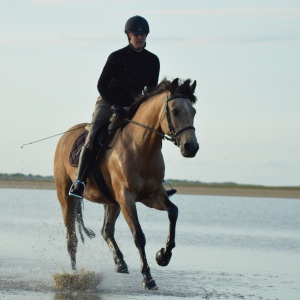 Profilbild von Sonja Schilling