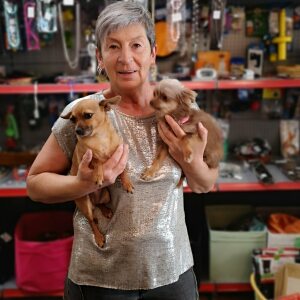 Profilbild von Sonja Weigel