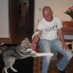Profilbild von Stefan Brummer