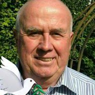 Profilbild von Stefan Hänke