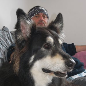 Profilbild von Stefan Haschberger