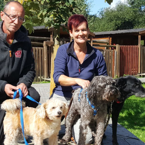 Profilbild von Stefan Hillenbrand