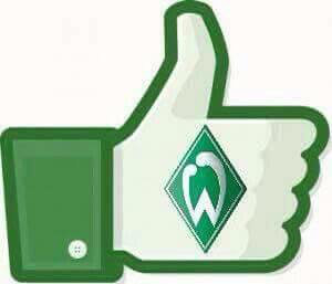 Profilbild von Stefan Kubicki