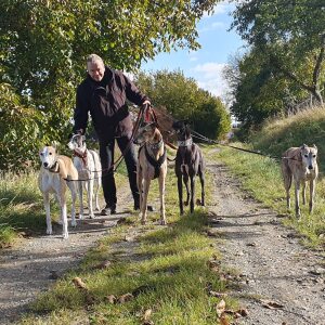 Profilbild von Stefan Motschmann