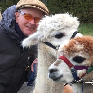 Profilbild von Stefan Pitsch