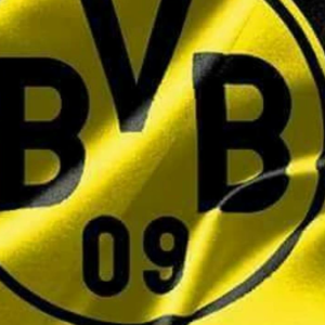 Profilbild von Stefan Schulte