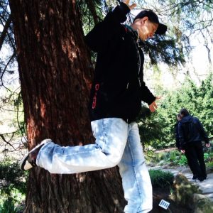 Profilbild von Stefan Stevens