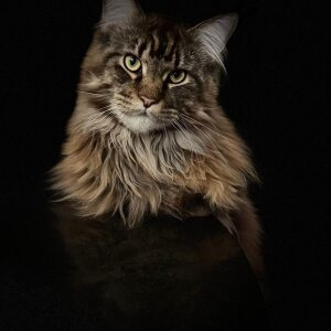 Profilbild von Stefanie Schulze