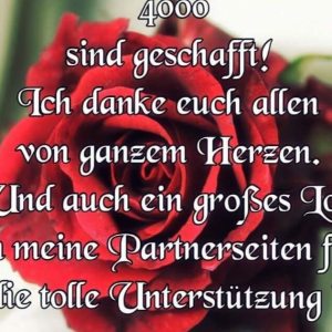 Profilbild von Stefanie Stecher