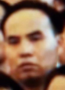 Profilbild von Stefano Herzbach