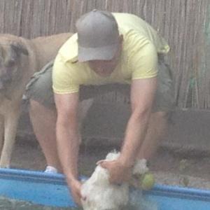 Profilbild von Steffen Mitterle