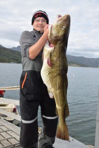 Profilbild von Steffen Möller