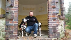 Profilbild von Steffen Pfeifer