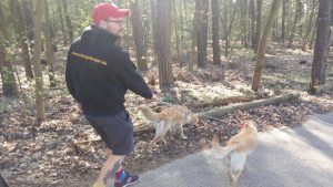 Profilbild von Steffen Spindler