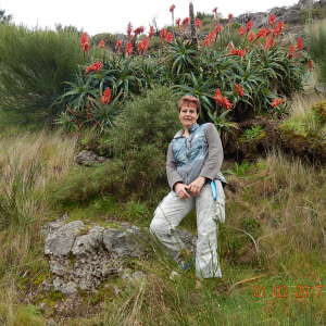 Profilbild von Susan Eibl