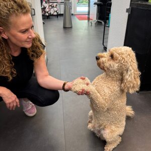 Profilbild von Susan Stockfisch