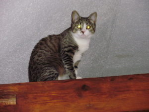 Profilbild von Susan Tietze