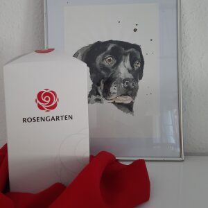 Profilbild von Susanne Bergmann