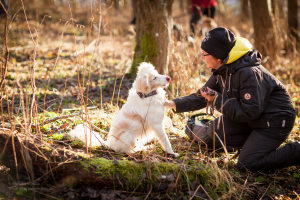 Profilbild von Susanne Bitzer