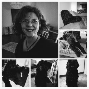 Profilbild von Susanne Böttcher