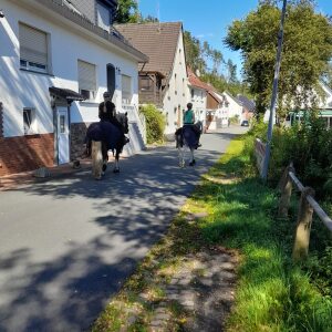 Profilbild von Susanne Brandt