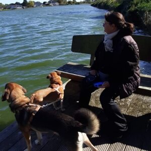 Profilbild von Susanne Geserick