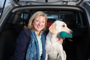 Profilbild von Susanne Grünewald