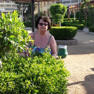 Profilbild von Susanne Kretzschmar