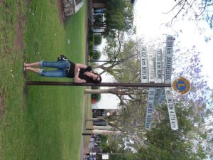 Profilbild von Susanne Martens