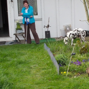 Profilbild von Susanne Siem