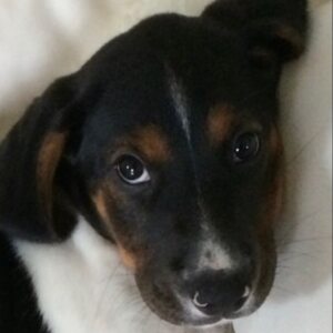 Profilbild von Sven Mummhardt